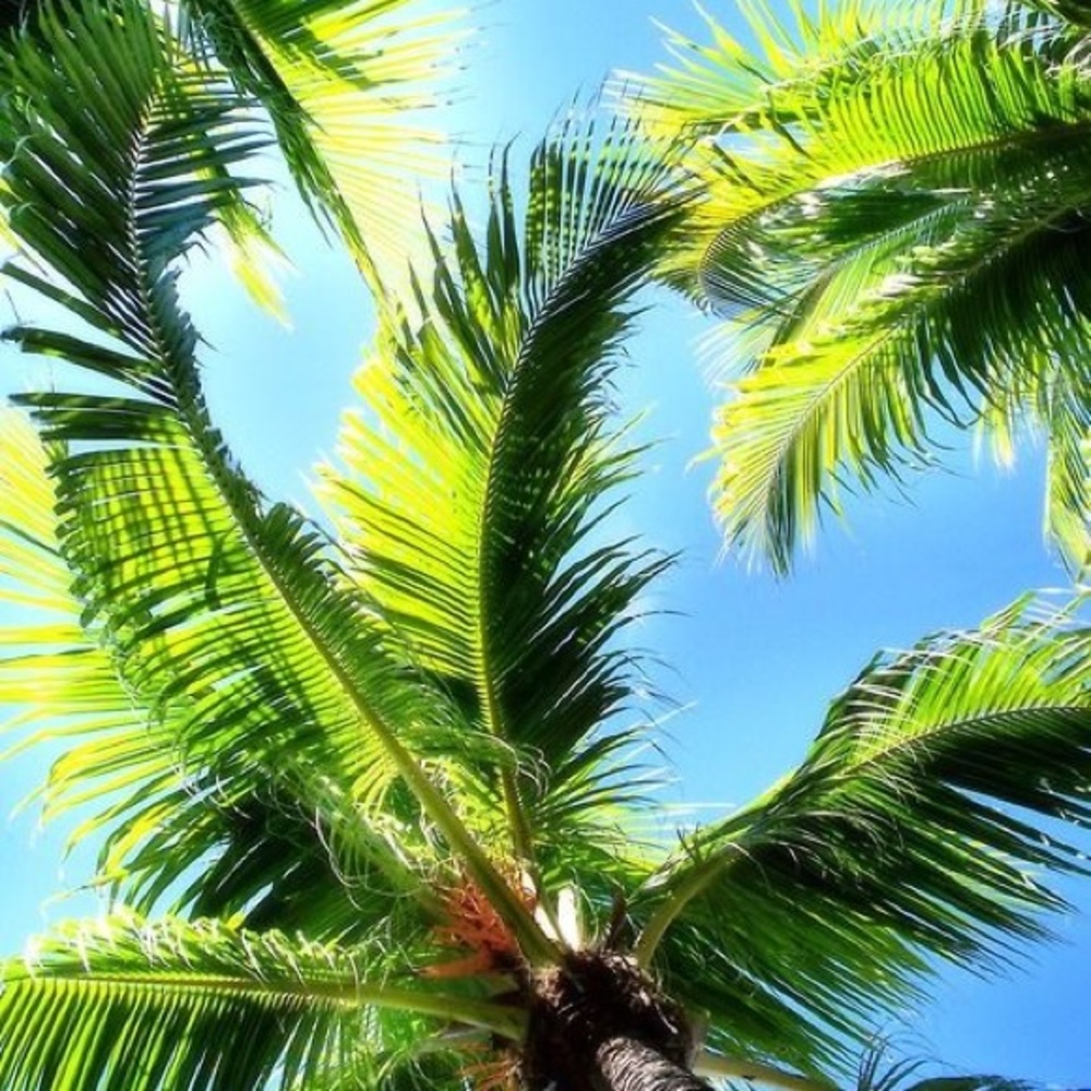 Meet your Posher, Katelyn